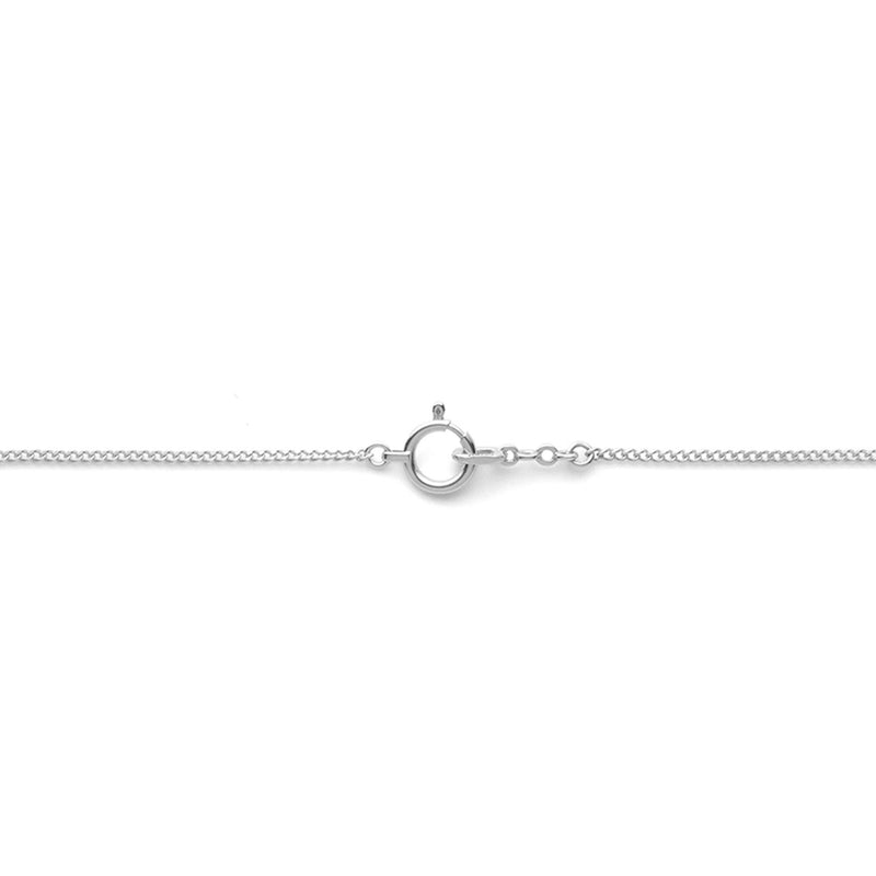 18K　ホワイトゴールド　Curb Chain　カーブチェーン　Necklace　ネックレス　引き輪